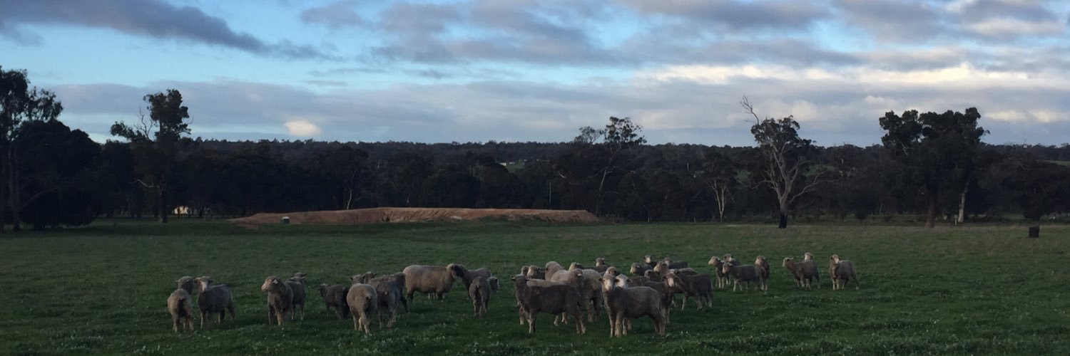 Rob Kelly banner