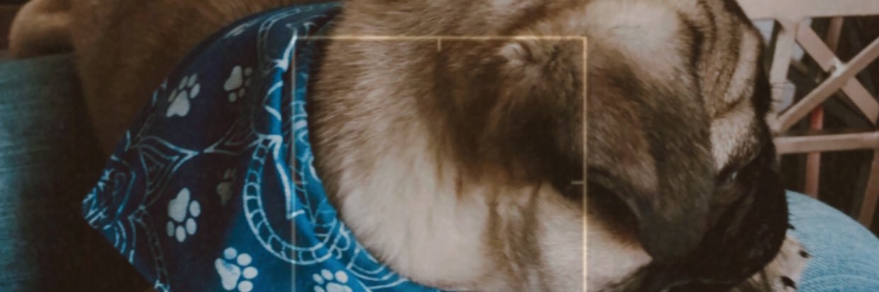 yooseelinr's profile banner image