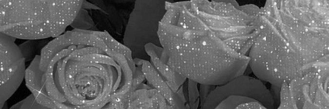 S14_d_0's profile banner image