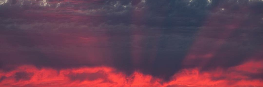 scubacon's profile banner image