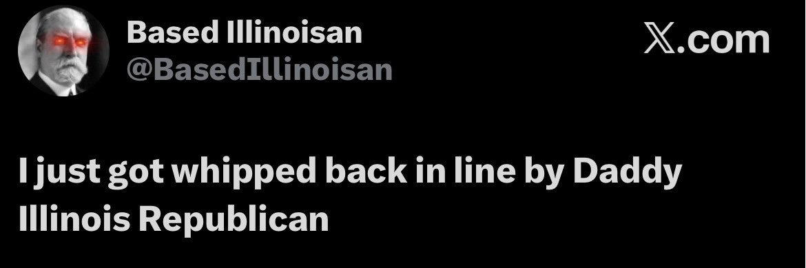 ✝️ Illinois Republican 🇺🇸🏳️‍🌈 banner