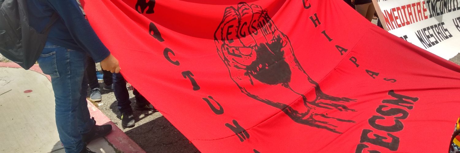 EFecsm's profile banner image