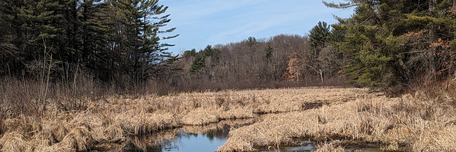 RushingTMitch's profile banner image