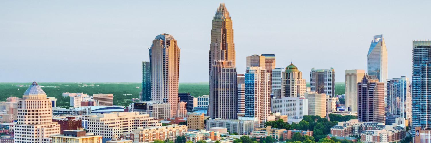 Elements Brands banner