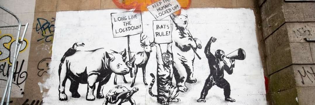 polly_cobb's profile banner image