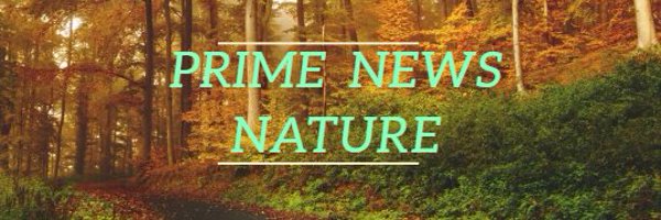 PRIME NEWS Profile Banner