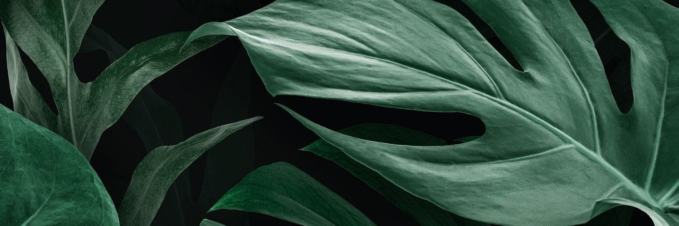 brionna_n's profile banner image