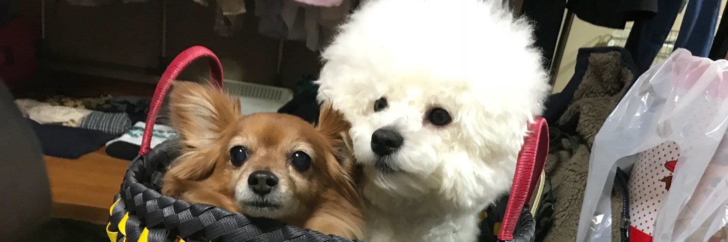 asuminkey's profile banner image