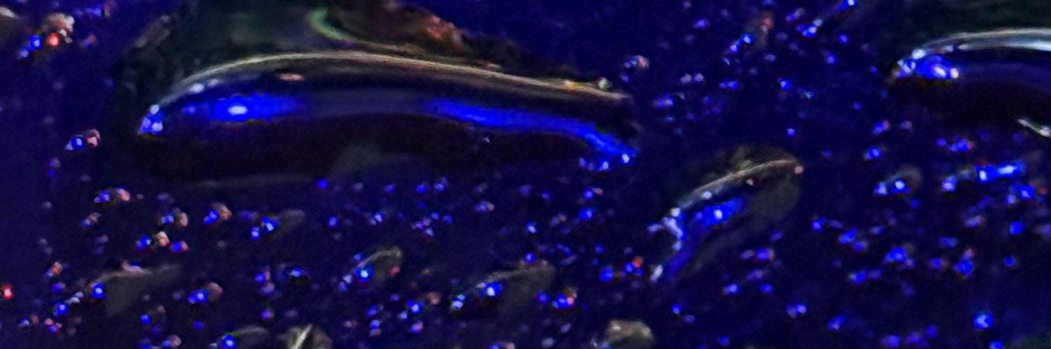 smooth132's profile banner image