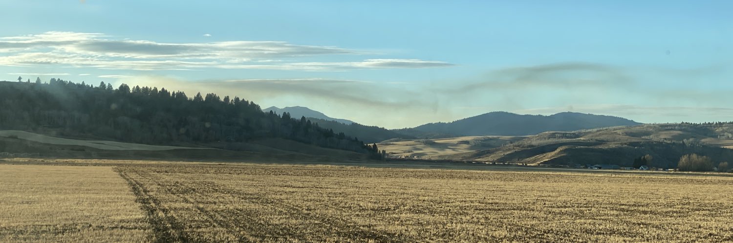 kylew01's profile banner image
