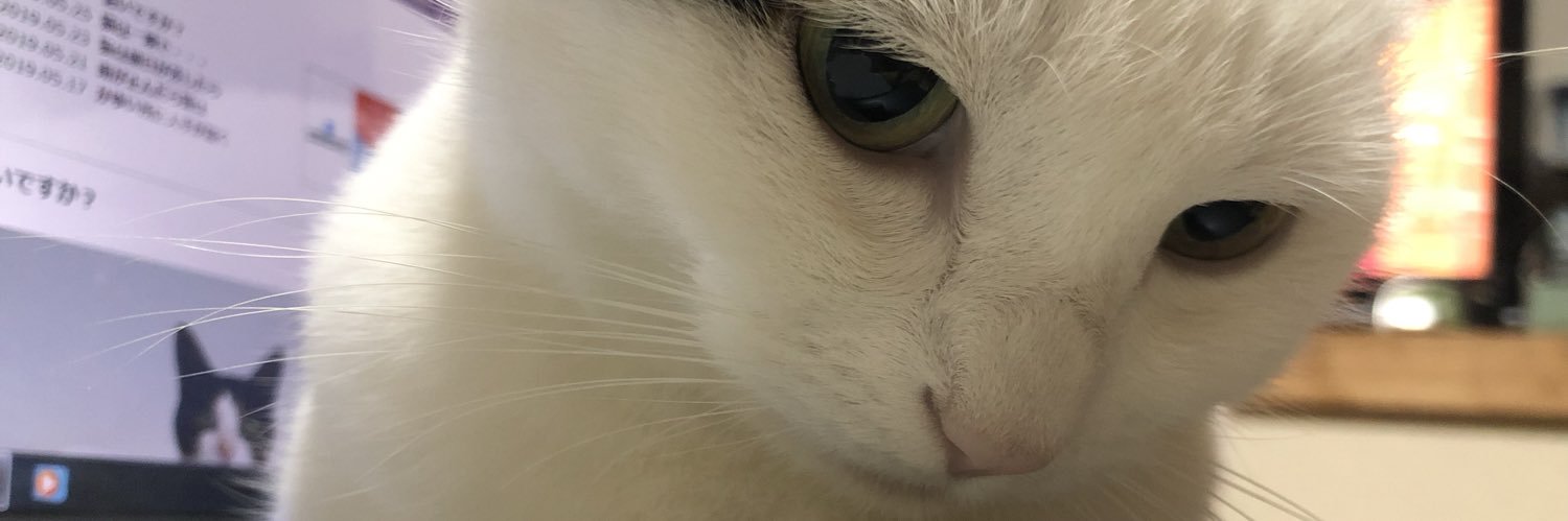 wiiturbo's profile banner image