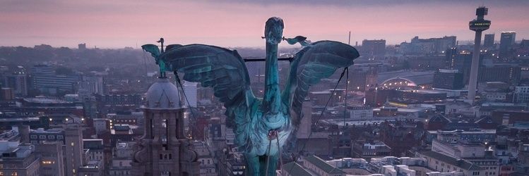 RedChez7's profile banner image