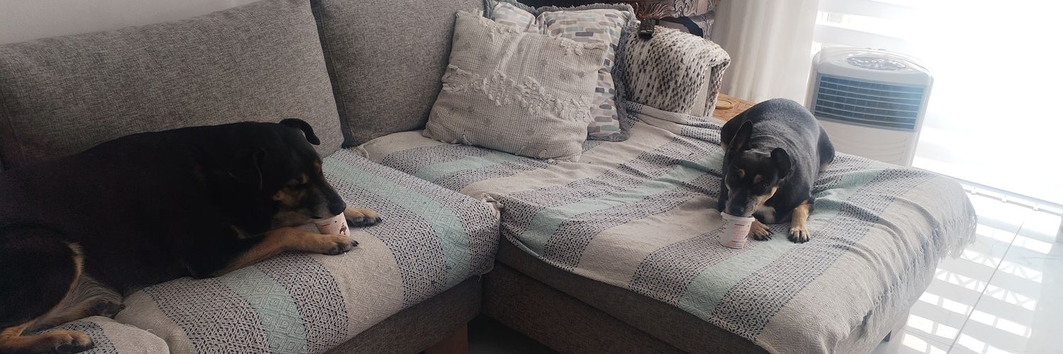 trixlee77's profile banner image