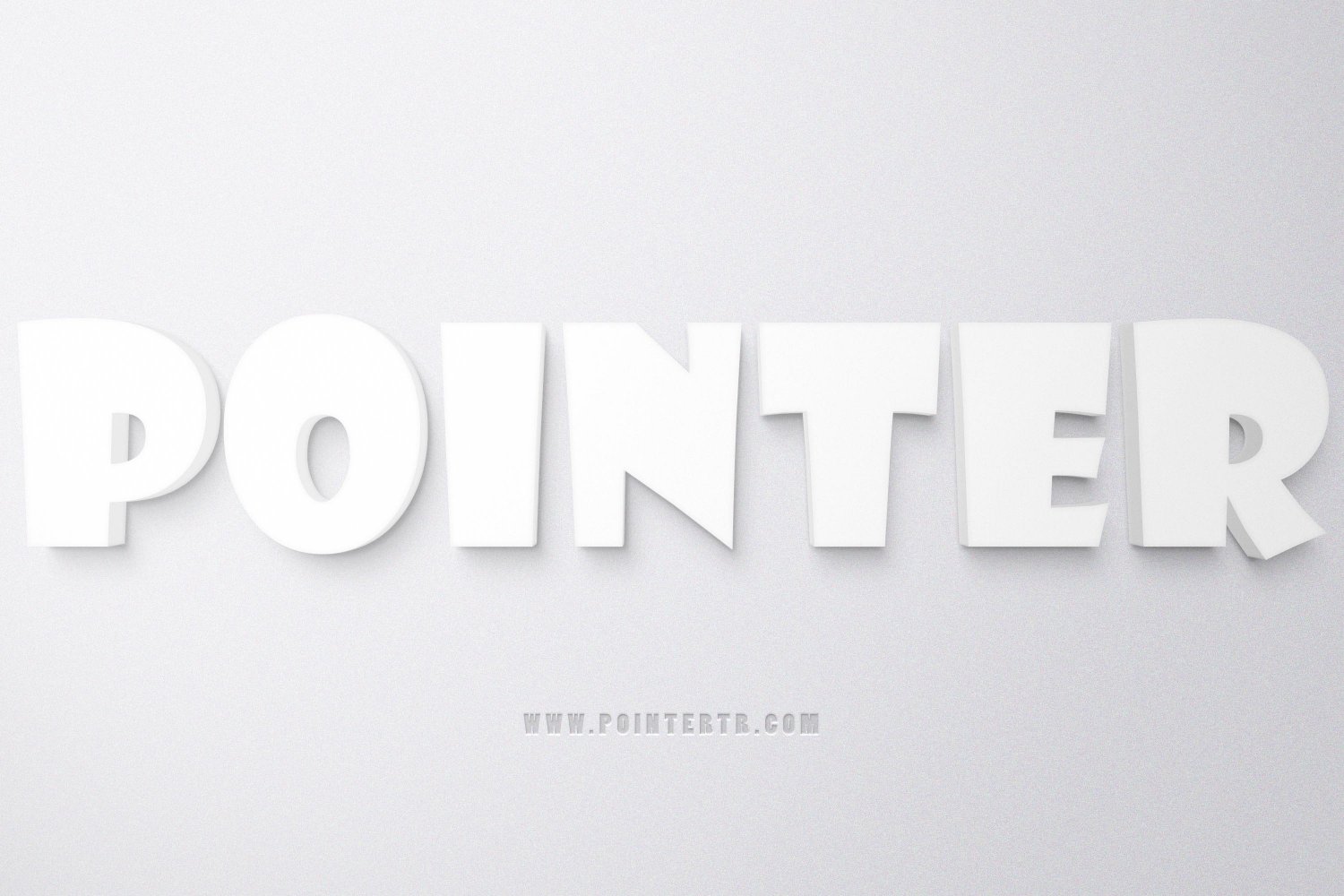 Pointer's banner