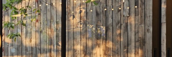 daisyplaty Profile Banner