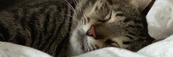 damlatopbas Profile Banner