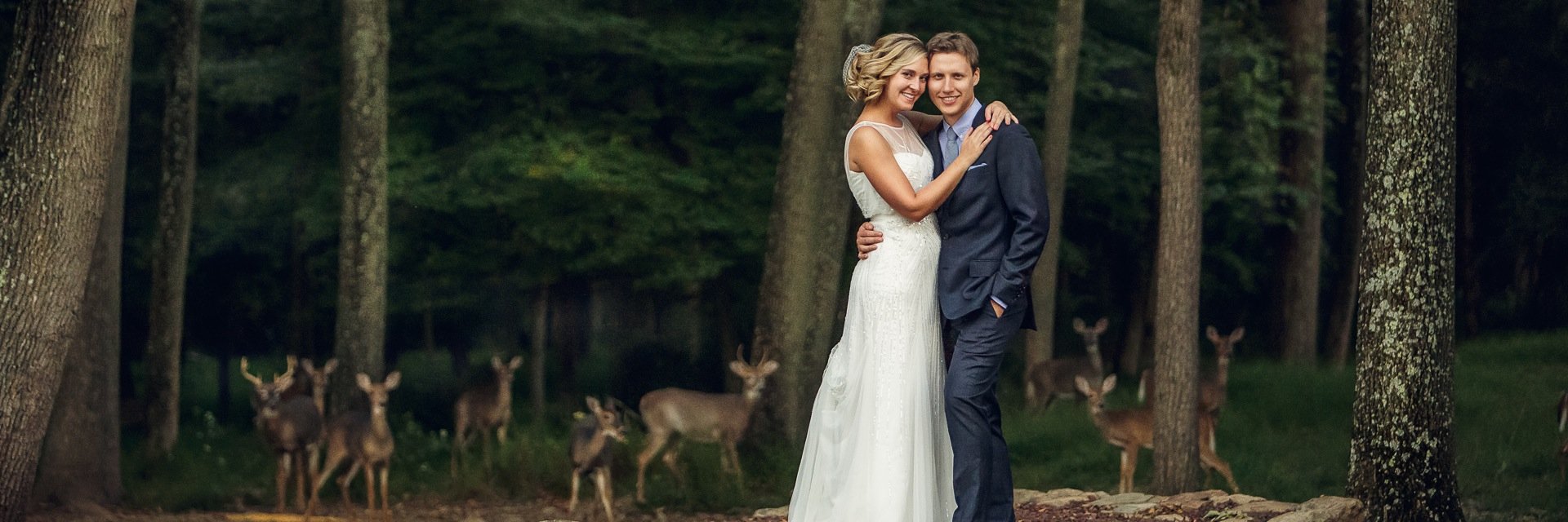 ianchristmann's profile banner image