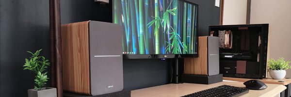 pandasetup Profile Banner