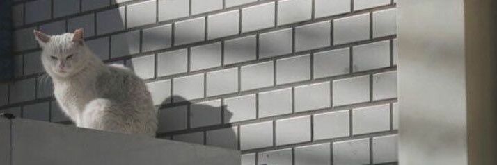 _Ftm__BTS's profile banner image
