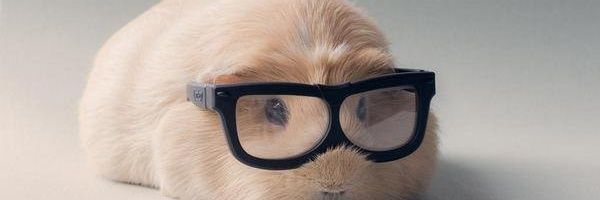 K00DER's profile banner image