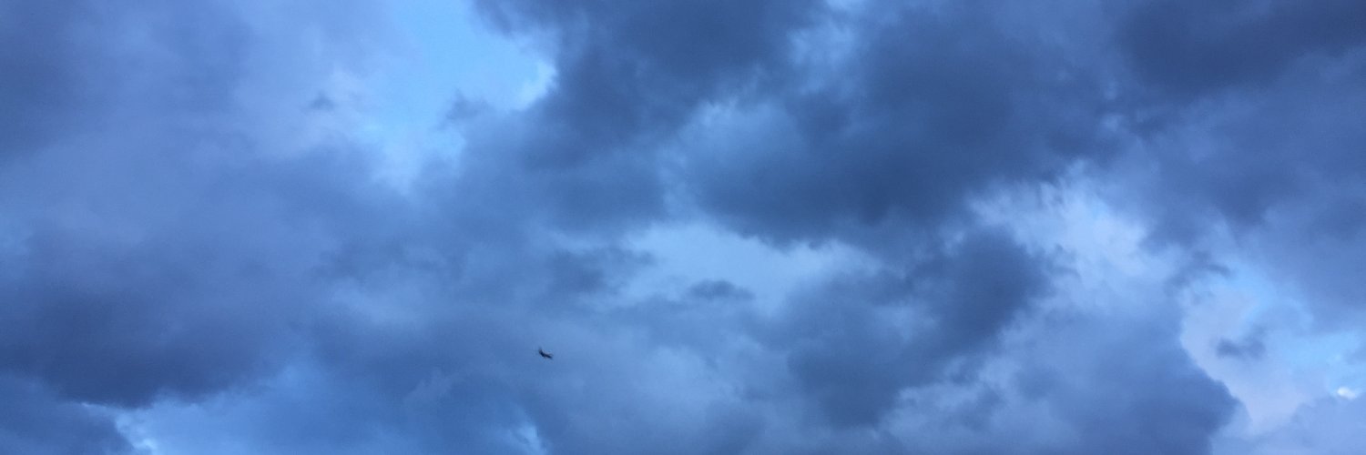 Bob DeVito 🌈🌞 $rmdevito banner