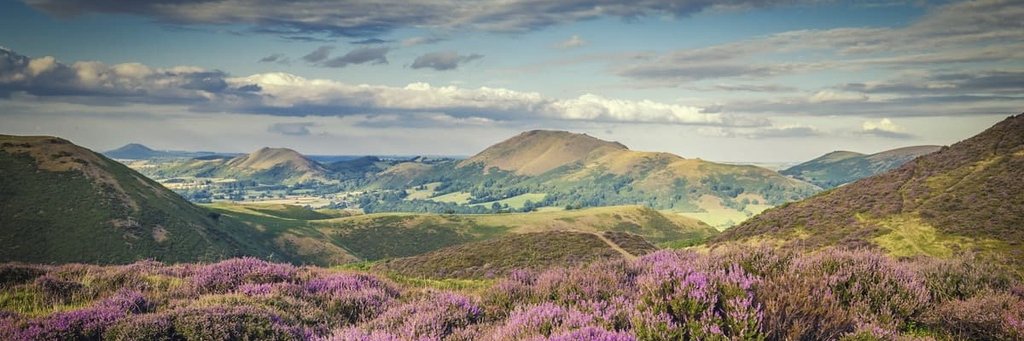 Lucy McDowell banner