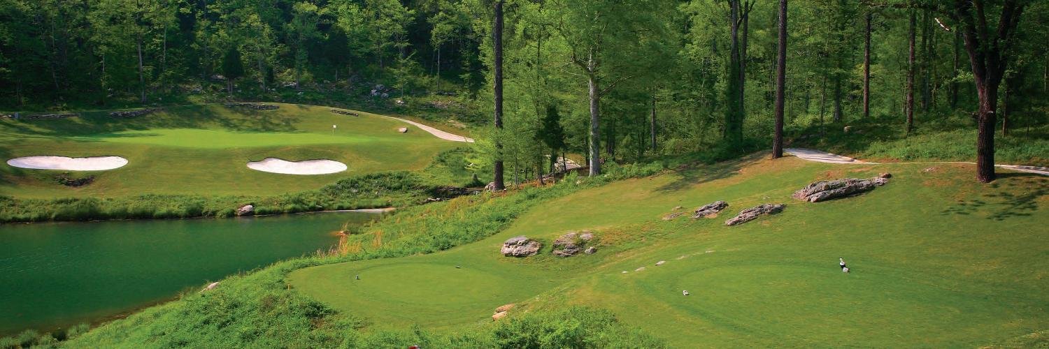 LimestoneGolfAL's profile banner image