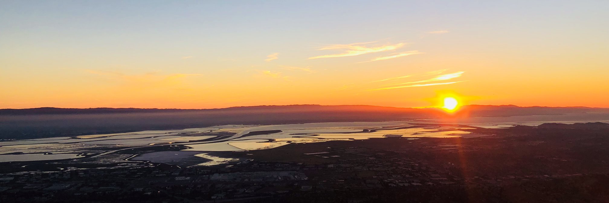 Bingjun Zhang banner