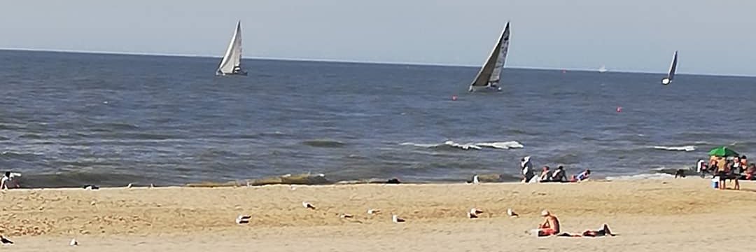 pat danolan p&h🫰🚩🫶 banner