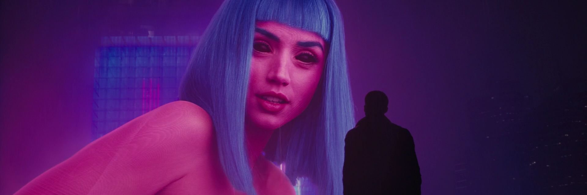 Asterans 🌺 banner