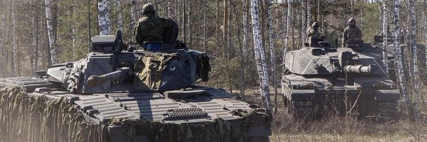 CavalryCat1 Profile Banner