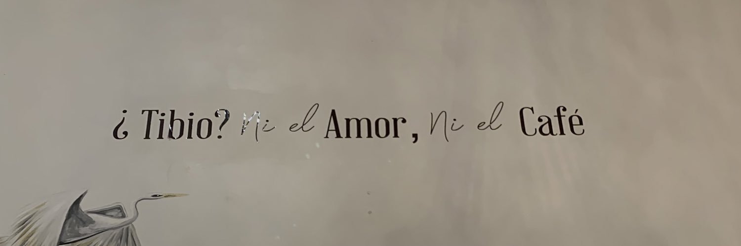 Mayra Torres banner