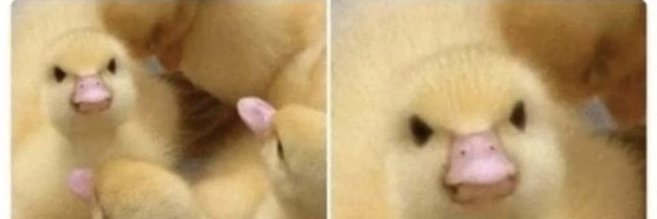 Kyle 🏳️‍⚧️ banner