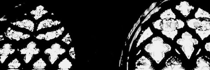 ☆Jinn★ // squid 🦑's banner