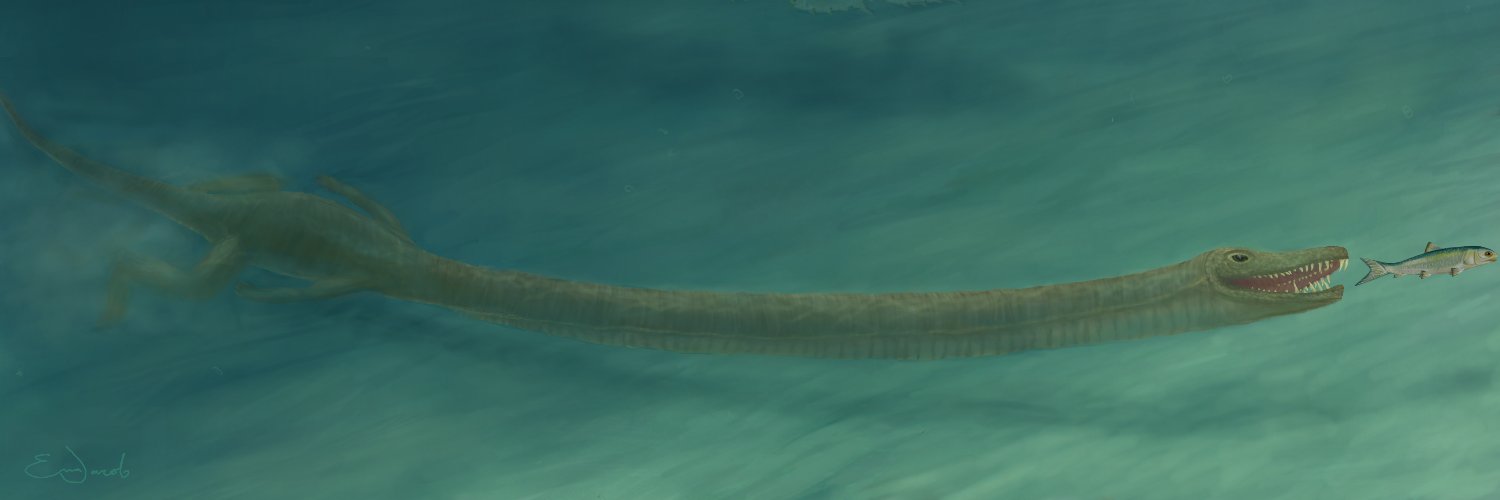 Stephan Spiekman's banner