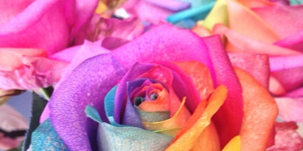 ladeesse_my's profile banner image