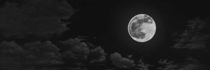 Hale banner