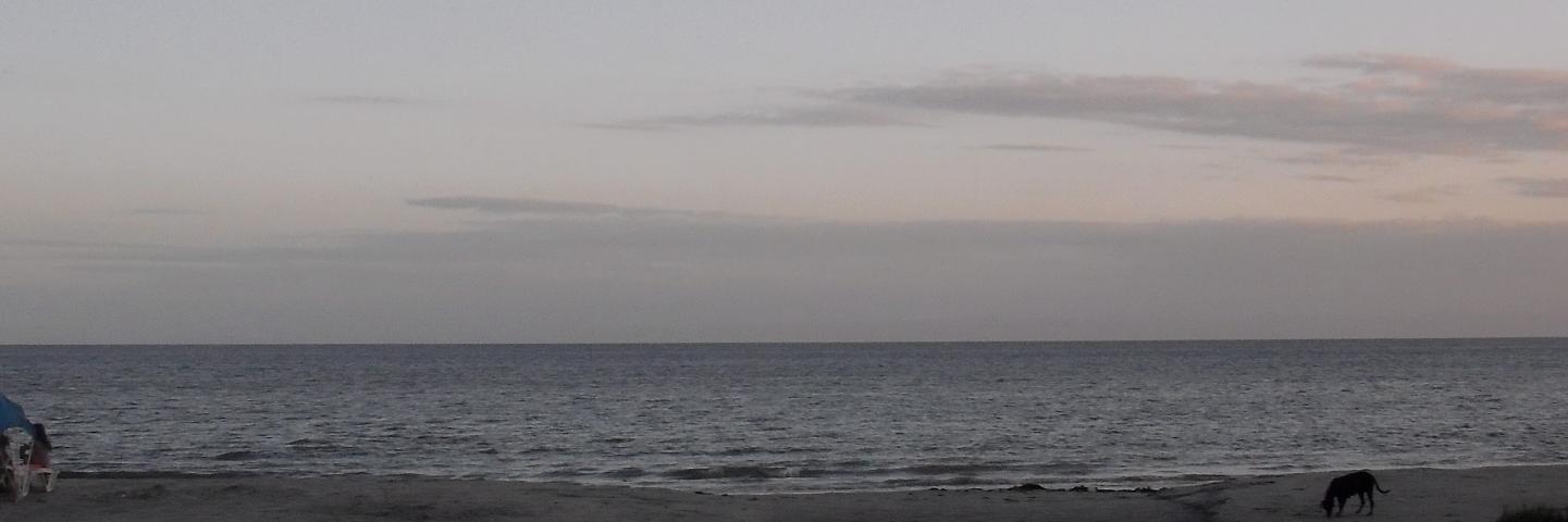 omzfph's profile banner image