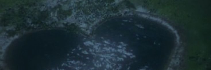 Fae 🧚‍♂️💸🌿 banner