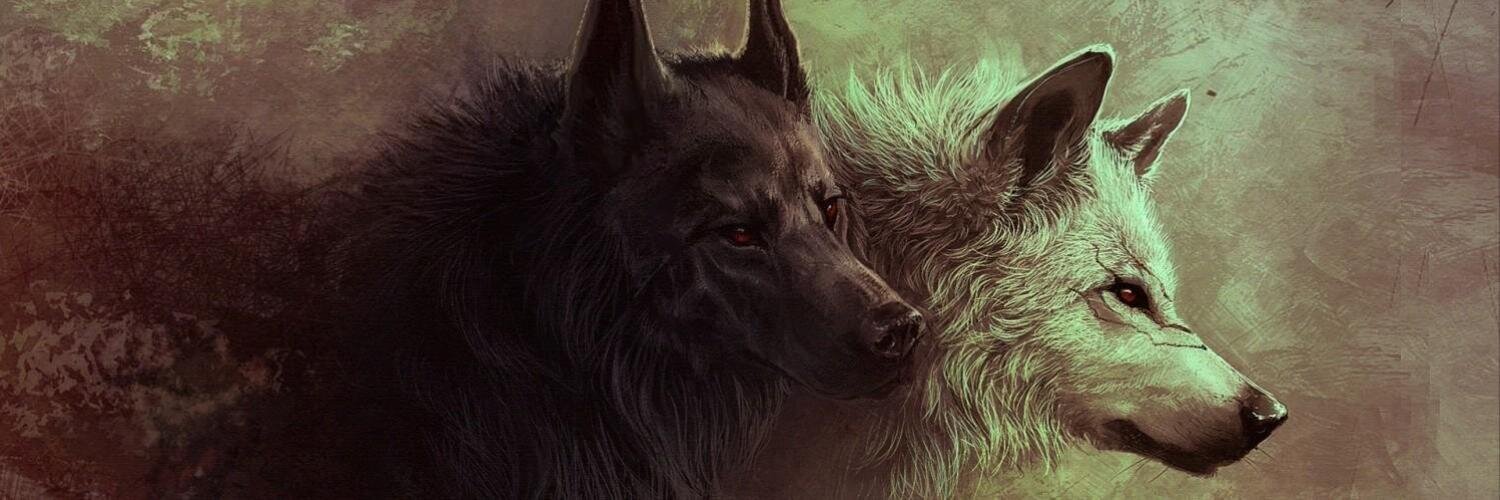 Furion's profile banner image