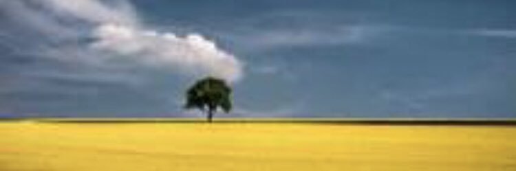 losik713's profile banner image