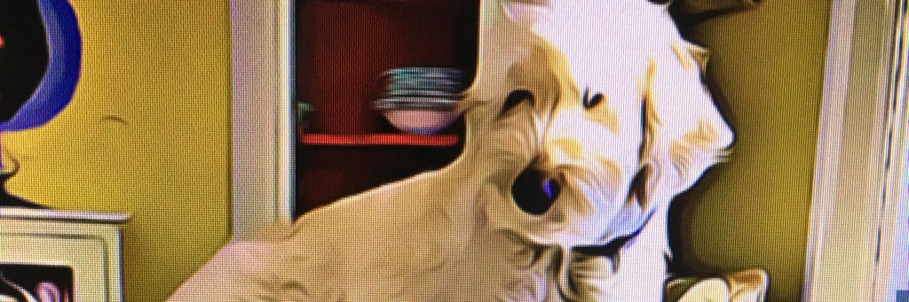 350degrees11's profile banner image
