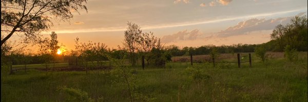 JLamison Profile Banner