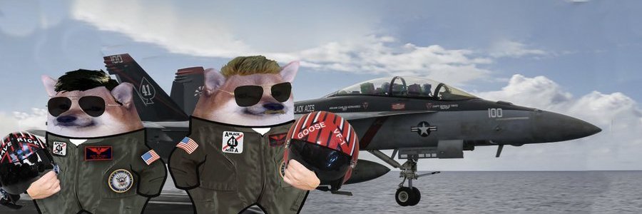 C.a.T's banner