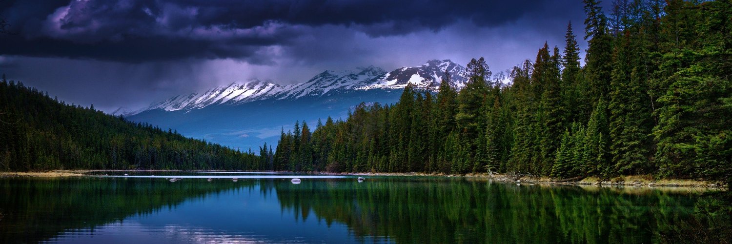 Hornet🇺🇲🇨🇦🇺🇦 banner