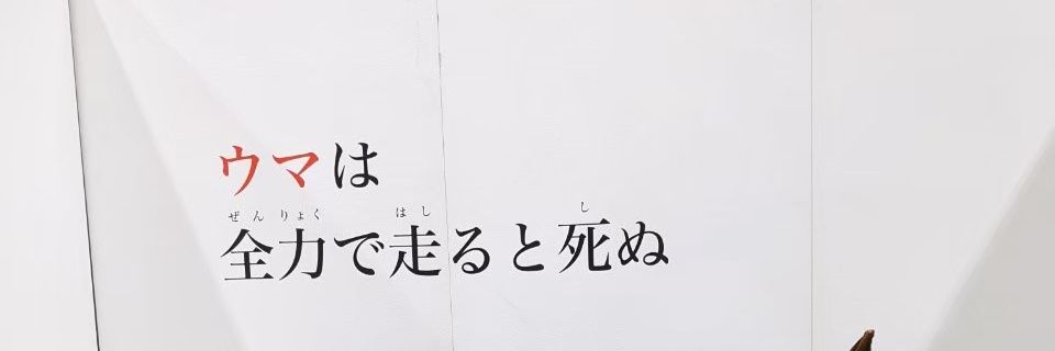 ko_chan_uma's profile banner image