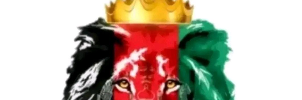 NikZad83662067's profile banner image