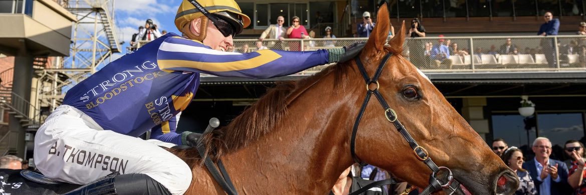 Strong Bloodstock banner