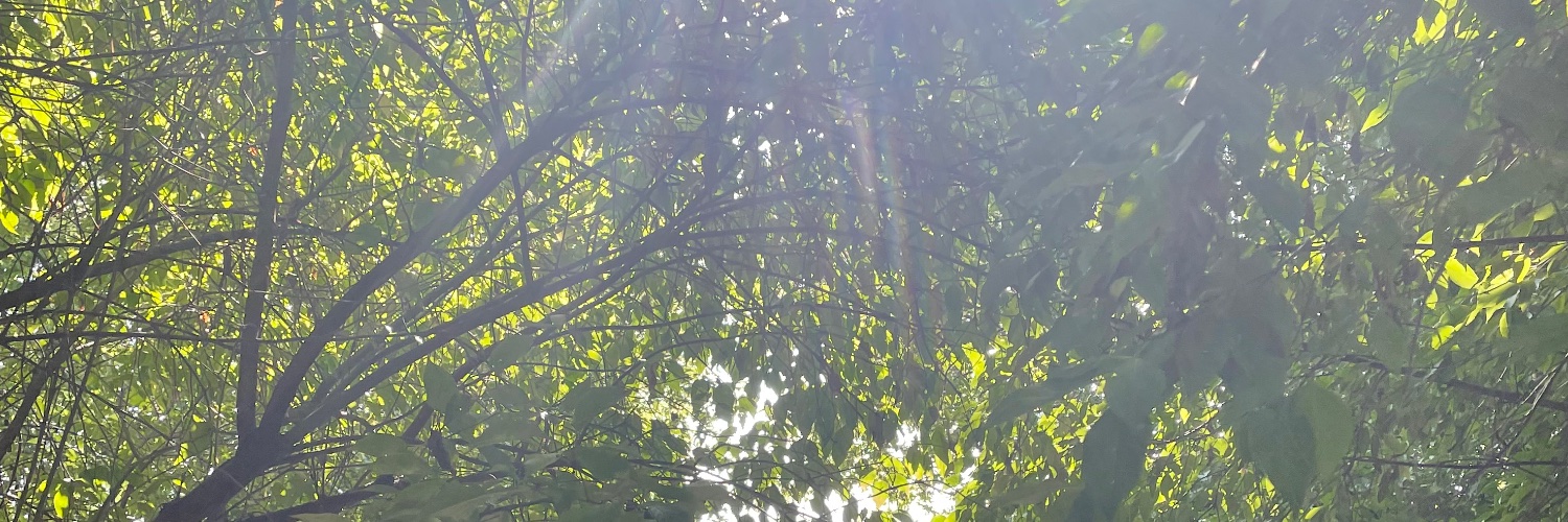 Joe D Krieg Always correct banner