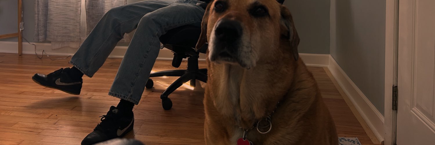 Loopzda1's profile banner image